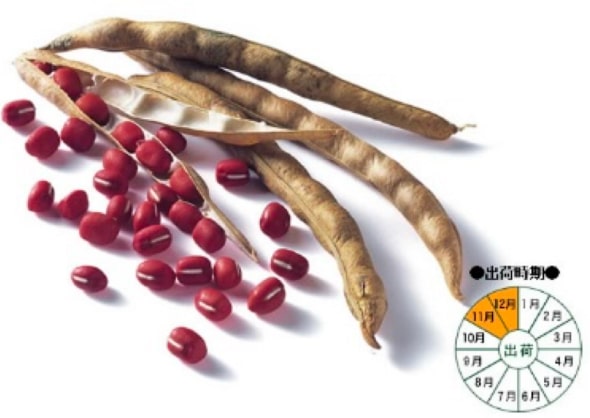 瑞穂大納言小豆