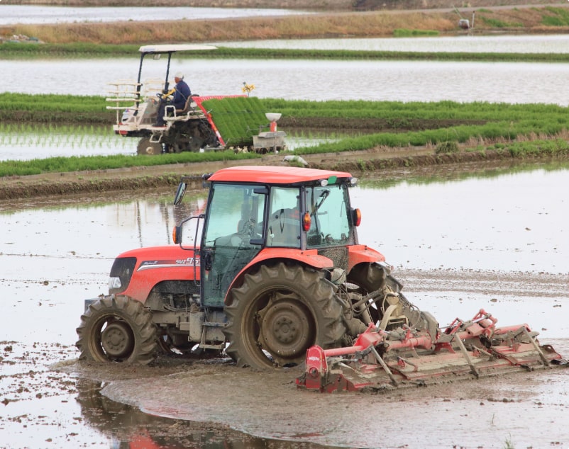 お米の苗木の販売・受託業務について